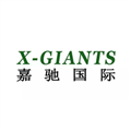 X-Giants Human Resource Co.,Ltd