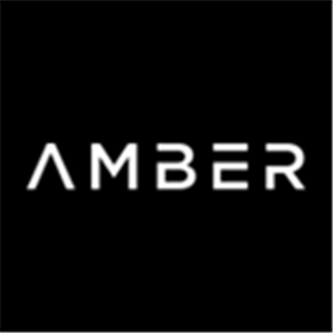 Amber AI Limited